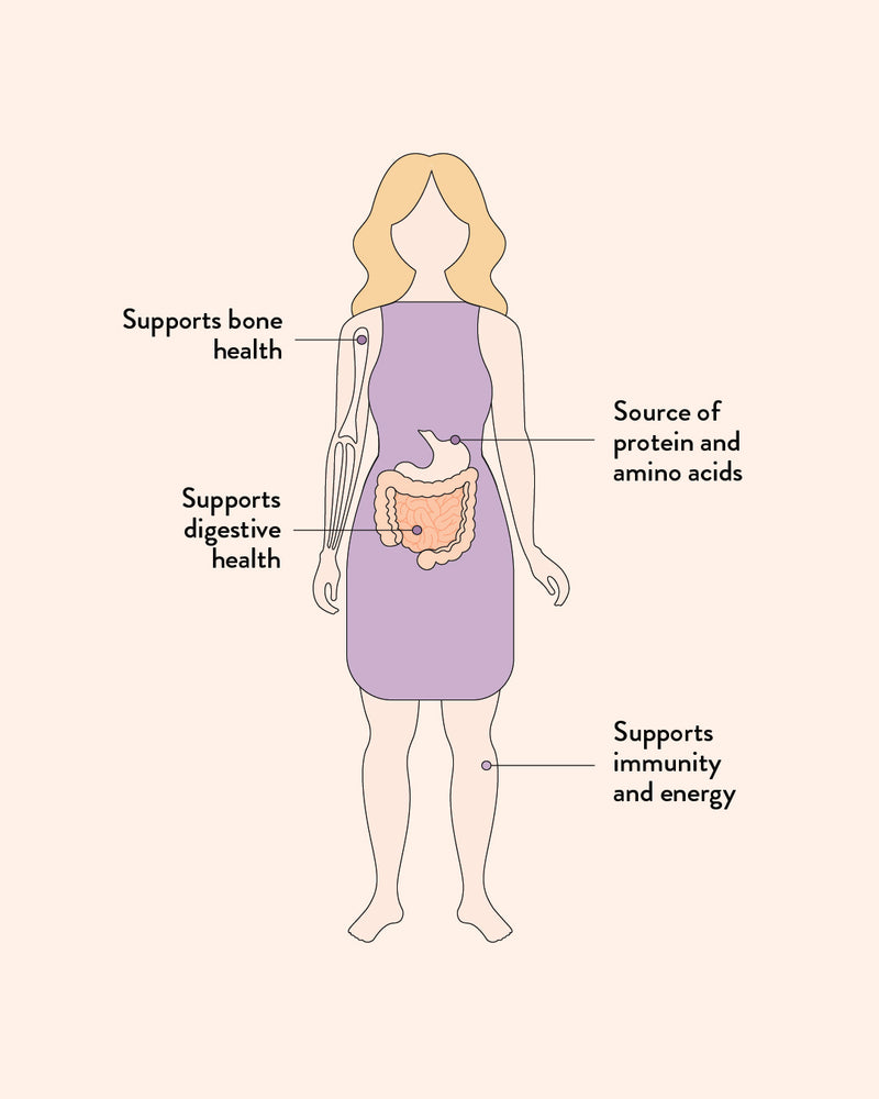 Beef Bone Broth Adaptogenic Mushroom
