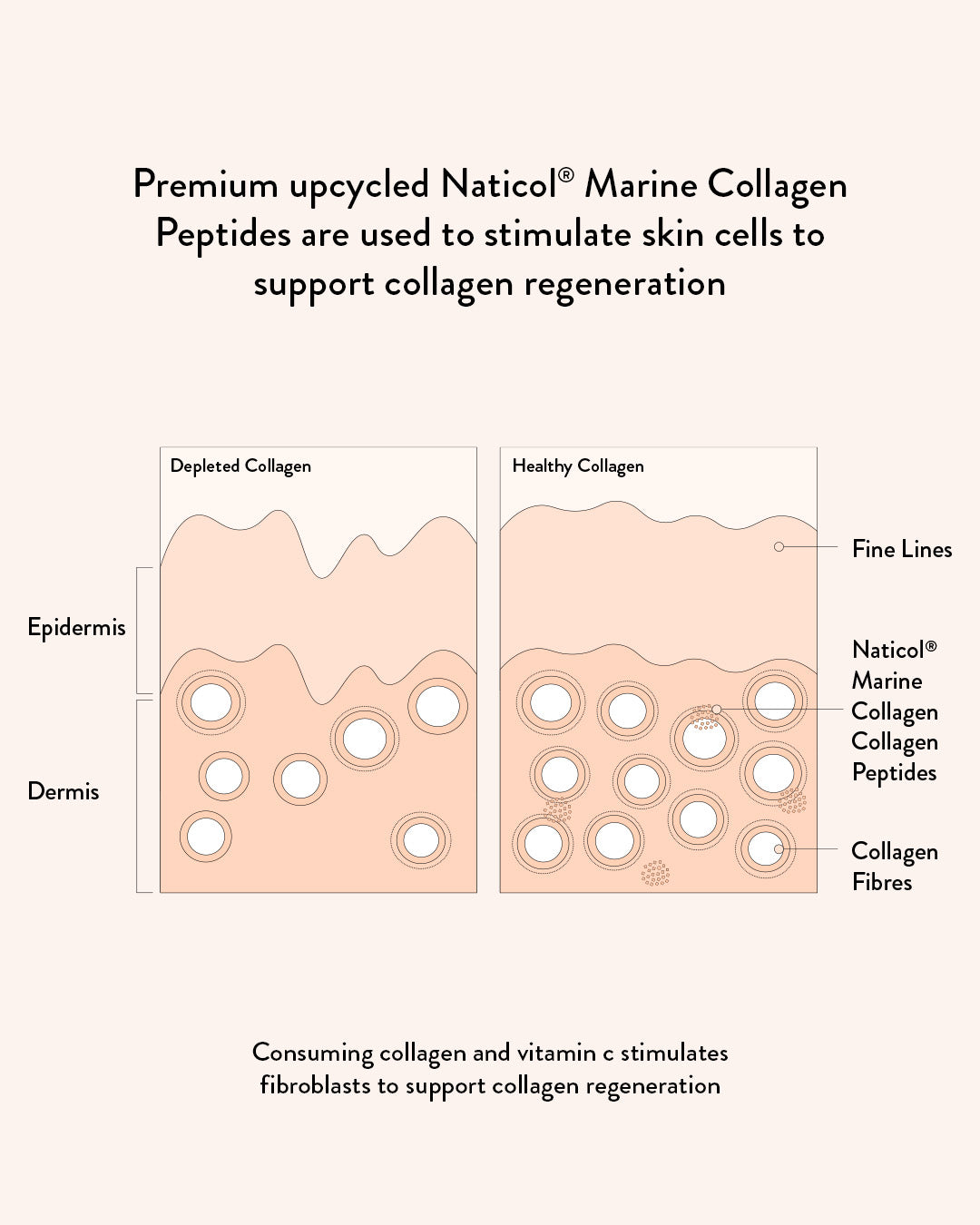 Marine Collagen Beauty