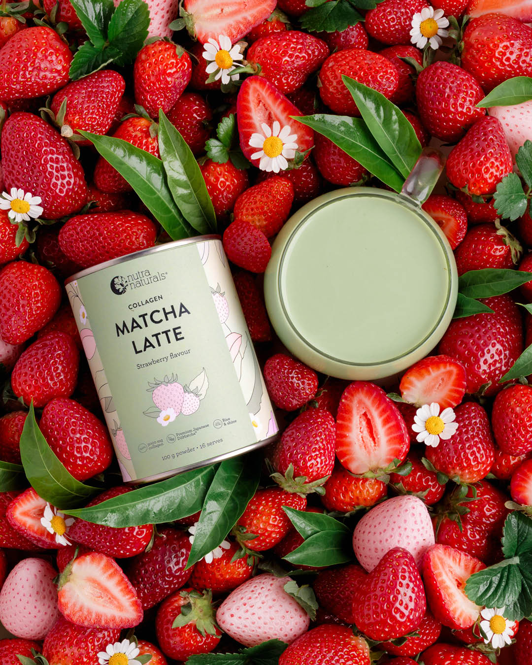Collagen Strawberry Matcha Latte container surrounded by strawberries and green leaves