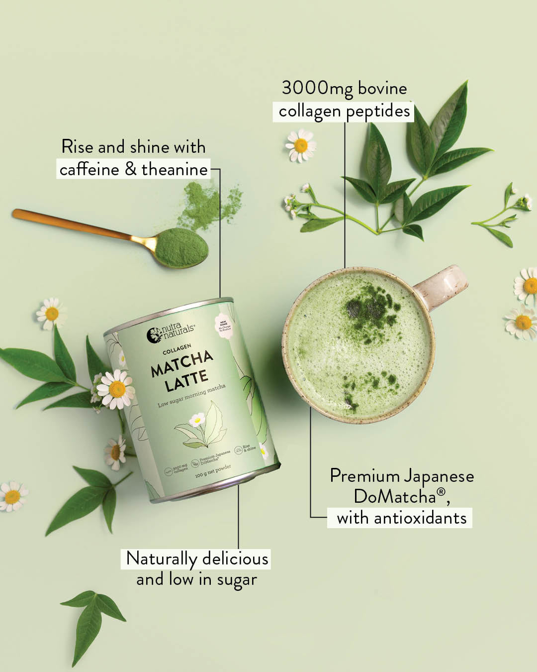 A can of Collagen Matcha Latte is shown on a pale green background with a prepared matcha latte cup, green leaves, white daisies, and text callouts describing ingredients and benefits.