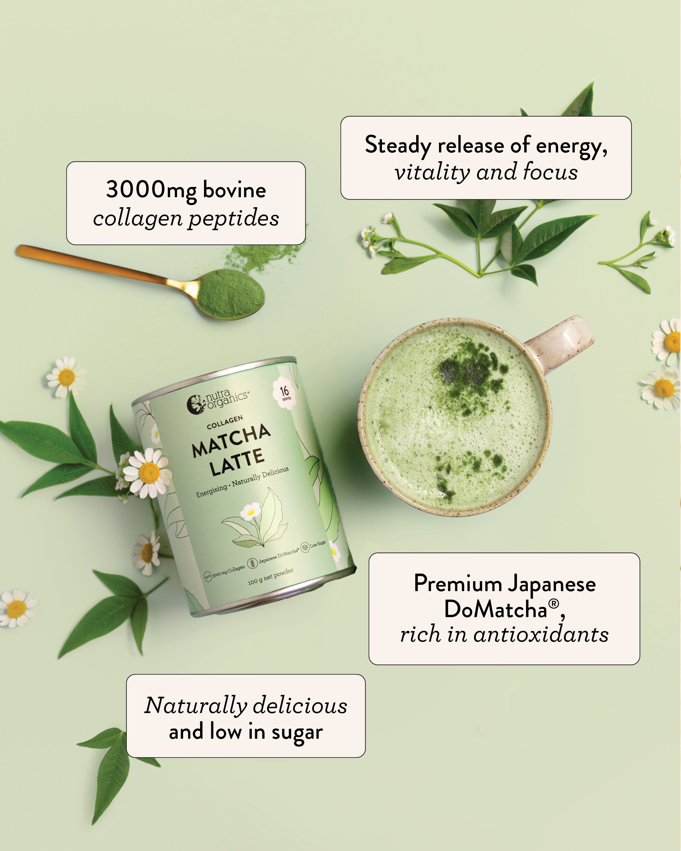 Collagen Matcha Latte